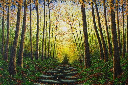 Forest Glow by Hazel Thomson, Painting for Sale on Select