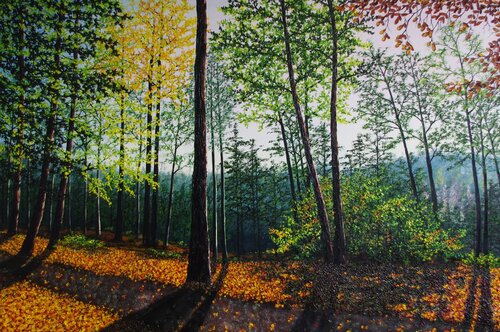 Autumn Forest Light by Hazel Thomson, Painting for Sale on Select
