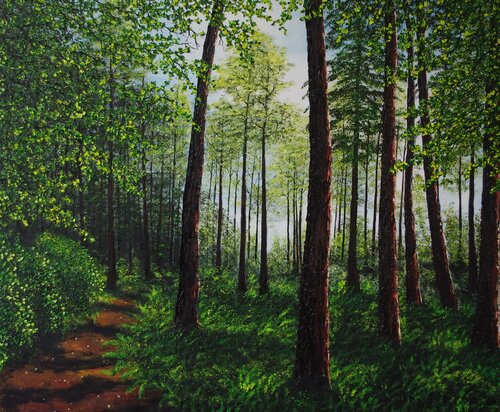 Summer in the Forest by Hazel Thomson, Painting for Sale on Select