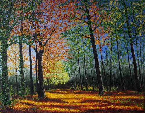 Autumn forest Glow by Hazel Thomson, Painting for Sale on Select