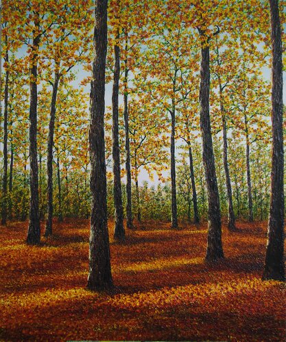Light of Autumn by Hazel Thomson, Painting for Sale on Select