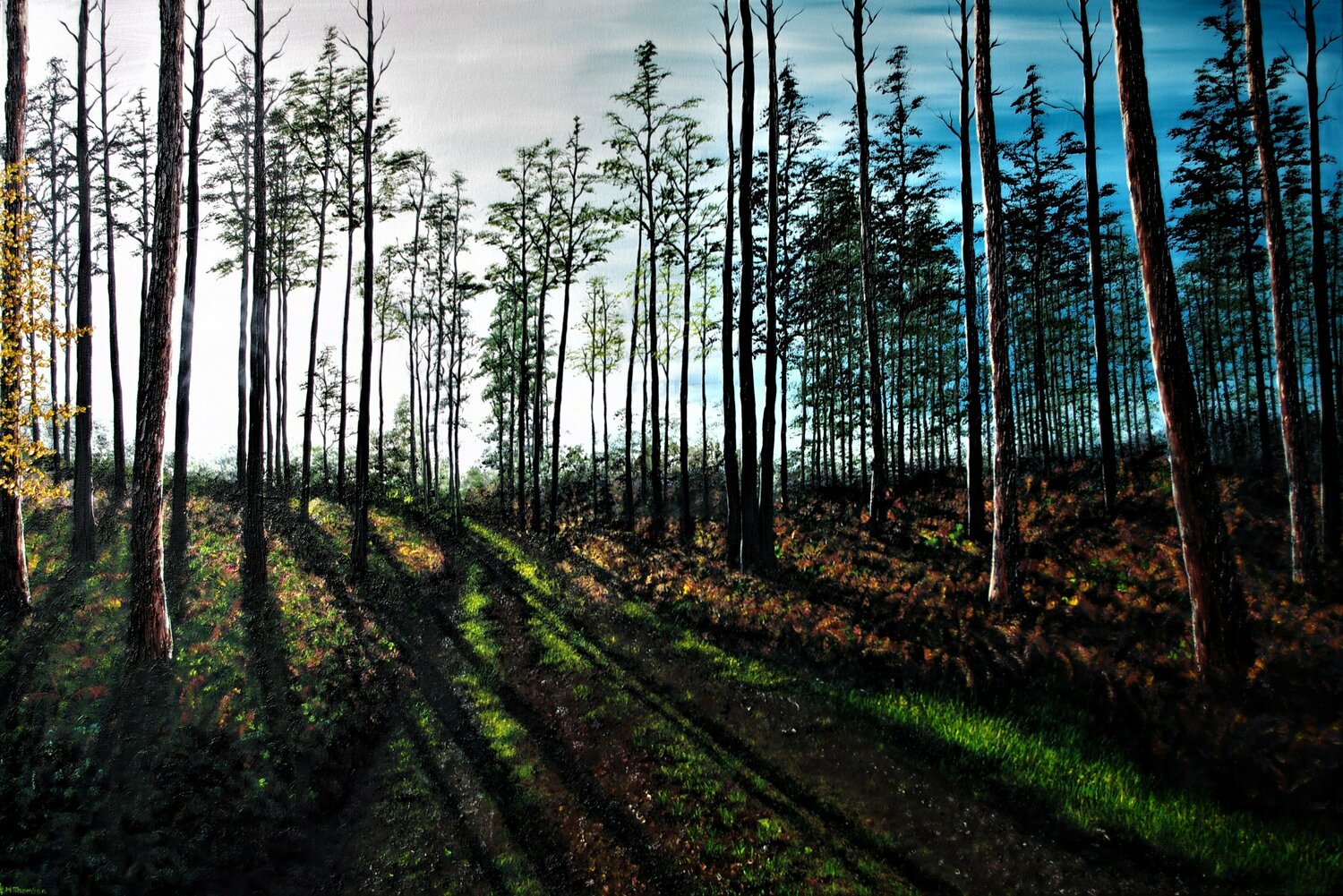 Late Afternoon Shadows Hazel Thomson Original painting for sale