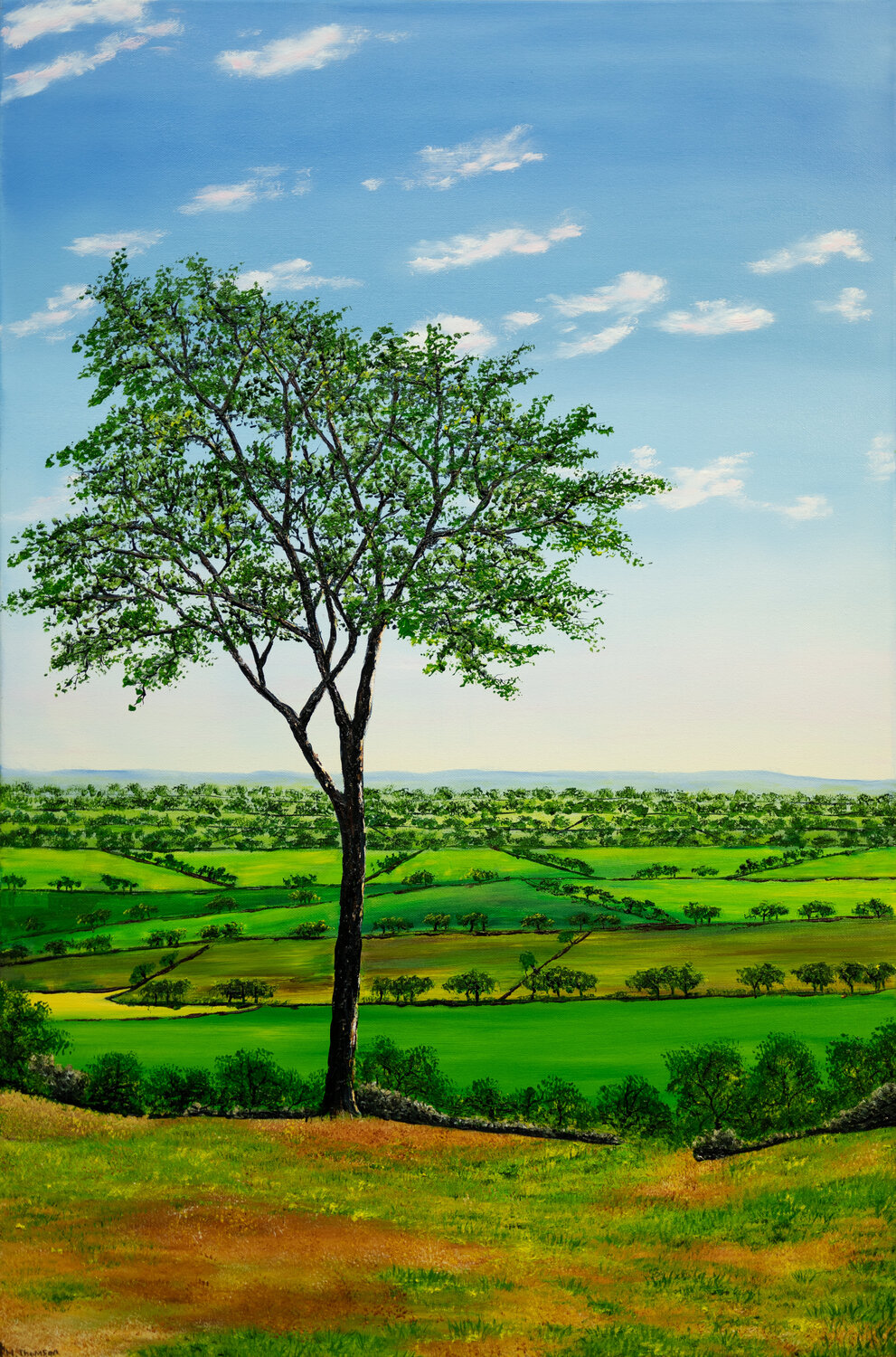 Summer In Cheshire Hazel Thomson Original painting for sale