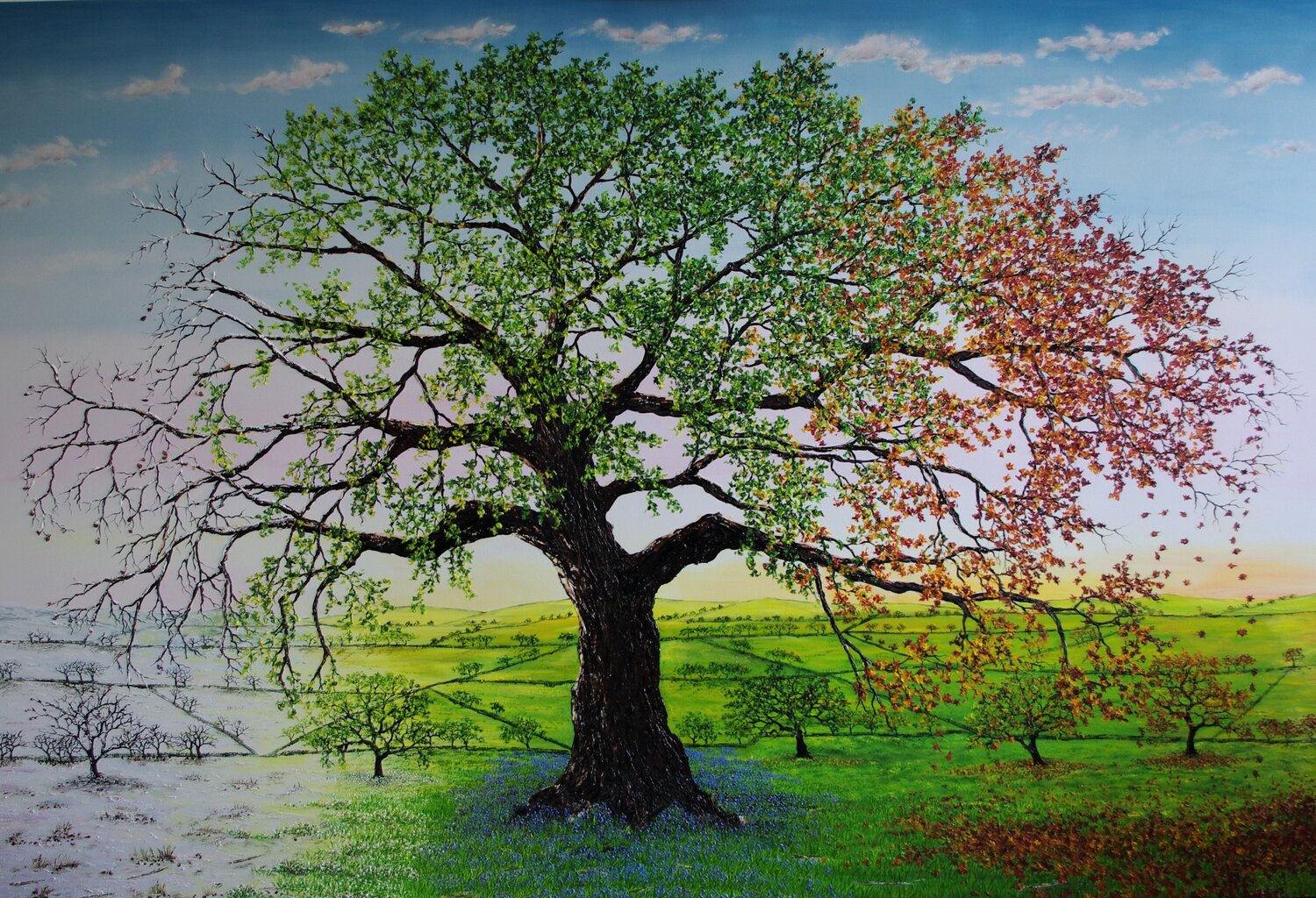 The Oak Of All Seasons Hazel Thomson Original painting for sale