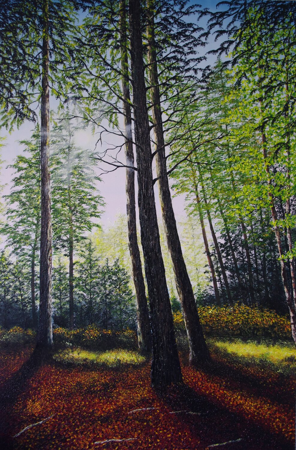 Light Through The Trees Hazel Thomson Original painting for sale