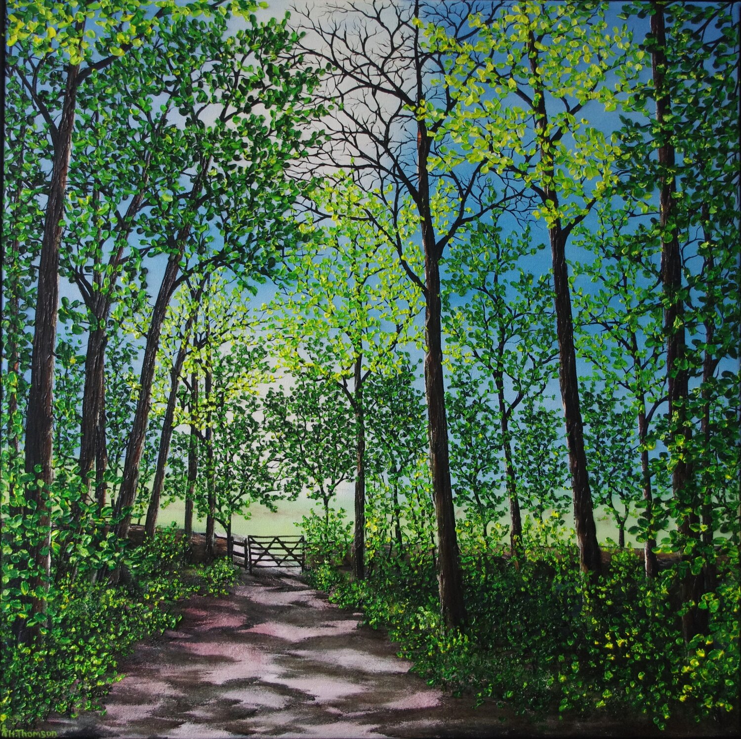 Dappled Light Hazel Thomson Original painting for sale