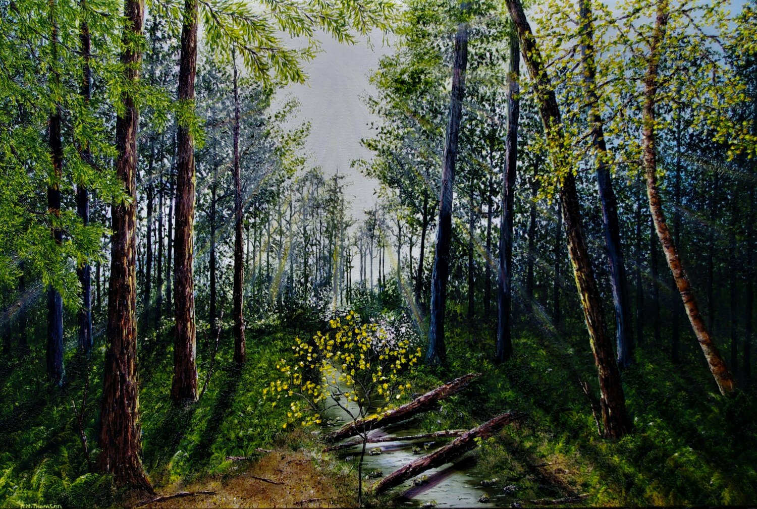 Light Refracting Through The forest Hazel Thomson Original painting for sale