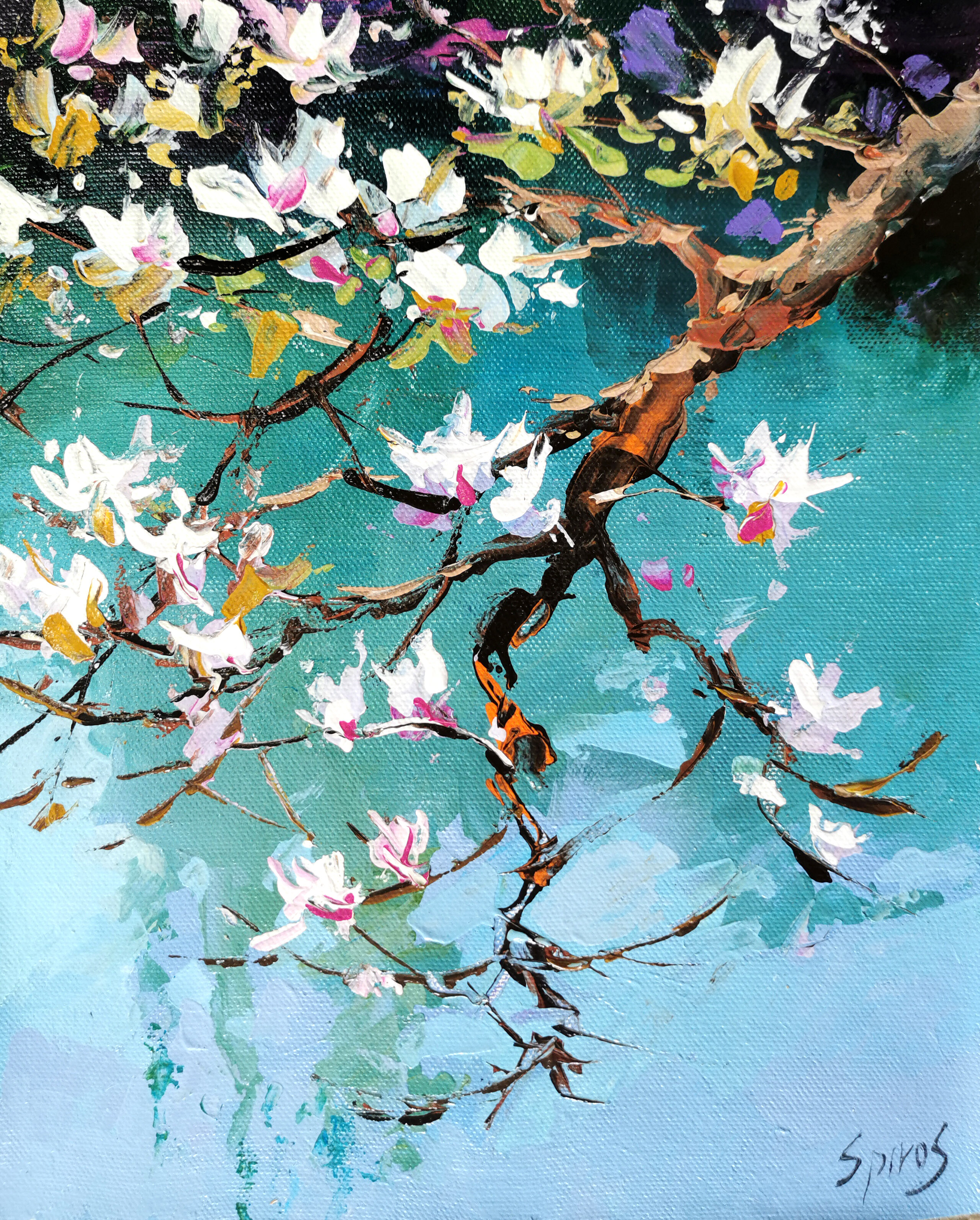 Blooming magnolia