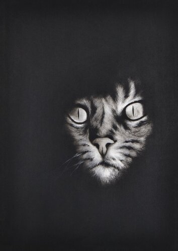 El Gato by Davaro David, Painting for Sale on Select