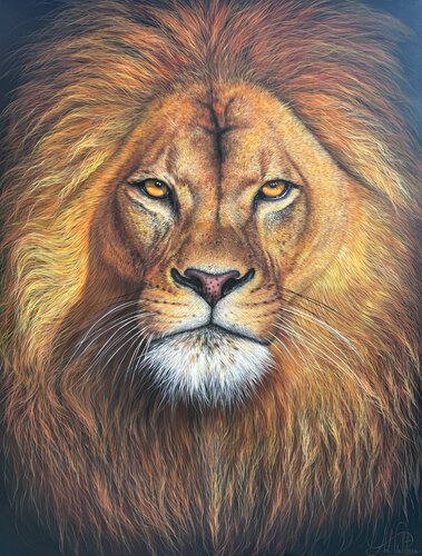 lion by Artak Galstyan, Painting for Sale on Select