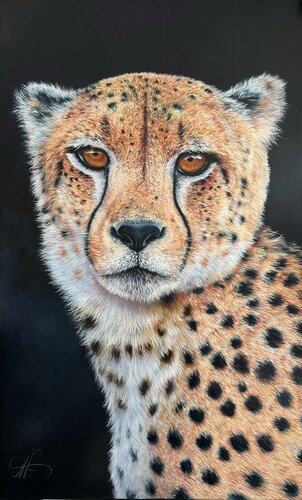 Cheetah by Artak Galstyan, Painting for Sale on Select