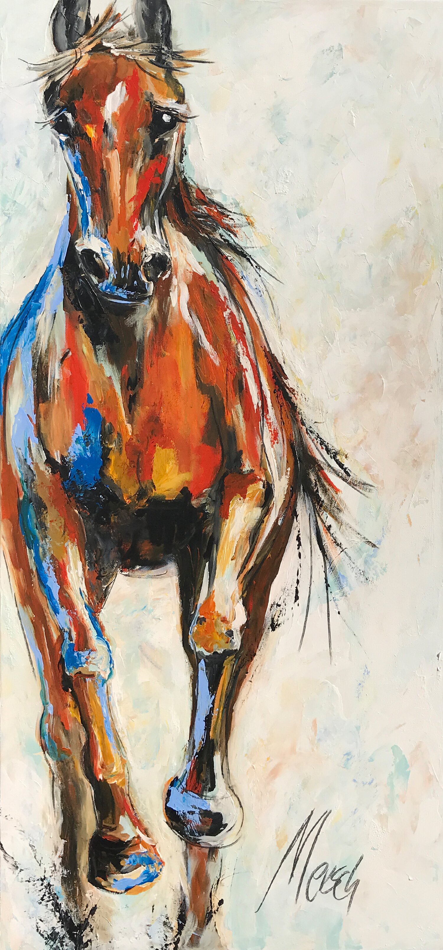 Horse -Pferd -