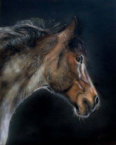Horse by Maria Arias, Painting for Sale on Select