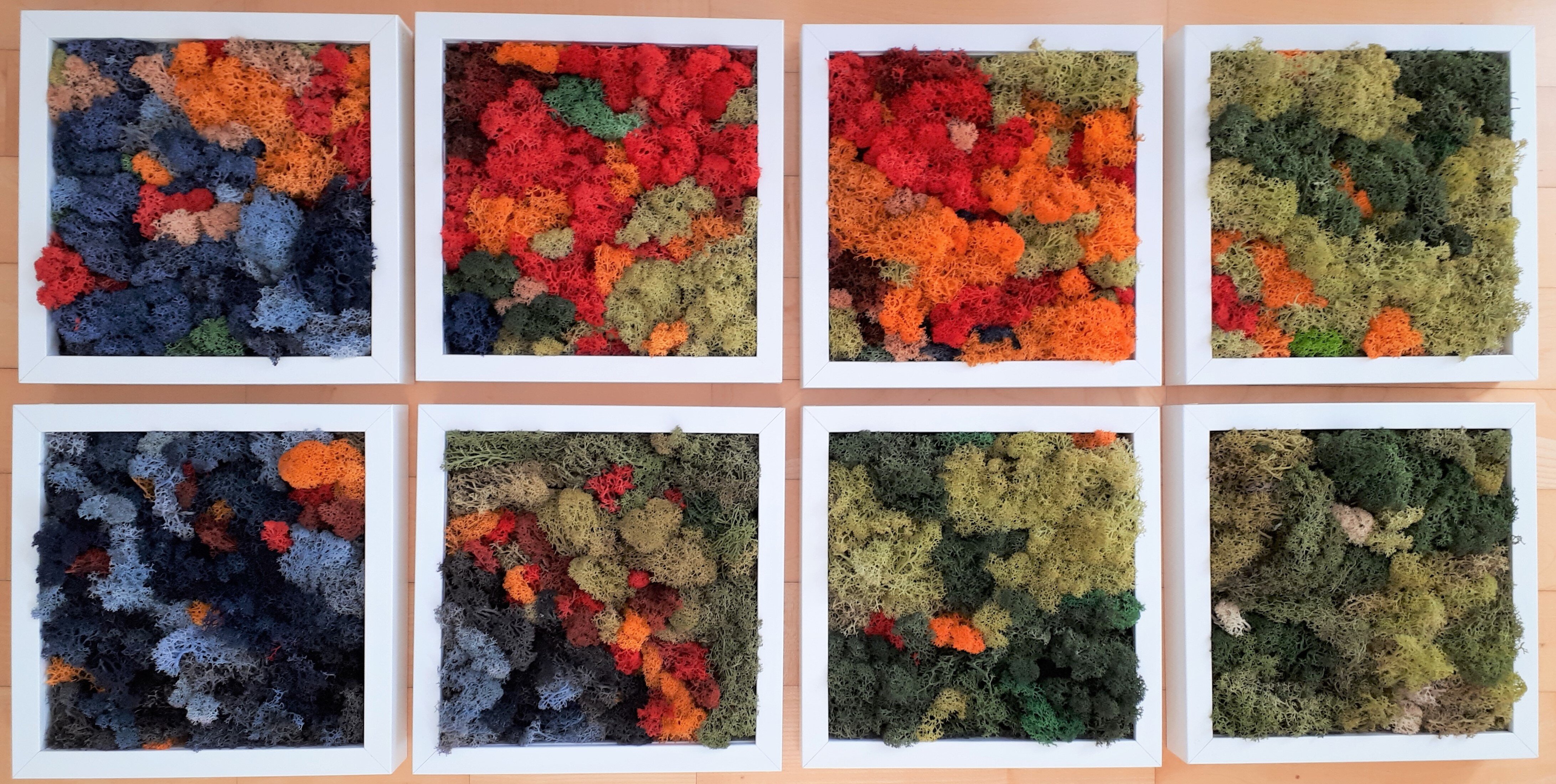 Topic Moss paintings