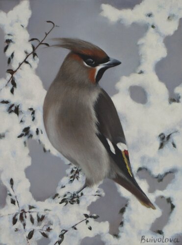 Bird in the winter garden by Iryna Buivolova, Painting for Sale on Select