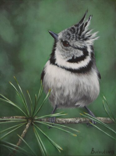 Bird in the forest by Iryna Buivolova, Painting for Sale on Select