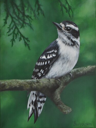 Woodpecker in the forest by Iryna Buivolova, Painting for Sale on Select