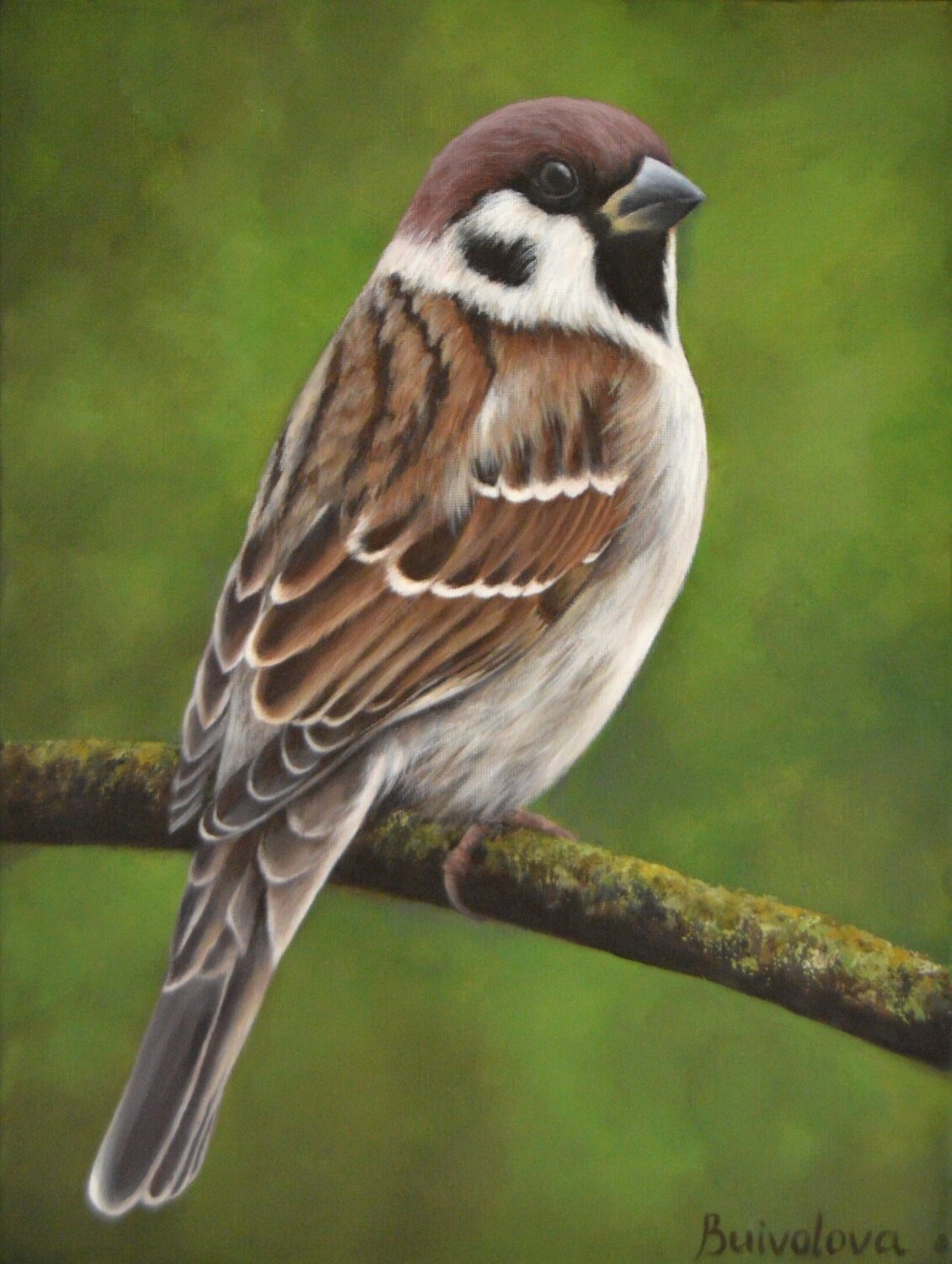 Sparrow sitting on a branch Iryna Buivolova Original painting for sale