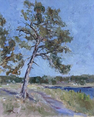 Pine Tree On A River Bank Study by Oleg Kamaev, Painting for Sale on Select