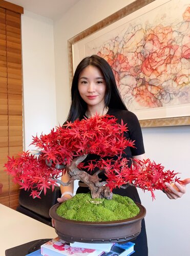 VICKY YAO Fine Bonsai - 2025 Latest Artwork: Realistic Bonsai Art Featuring Red Maple Leaves 58 x 42cmH by VICKY YAO, Sculpture for Sale on Select