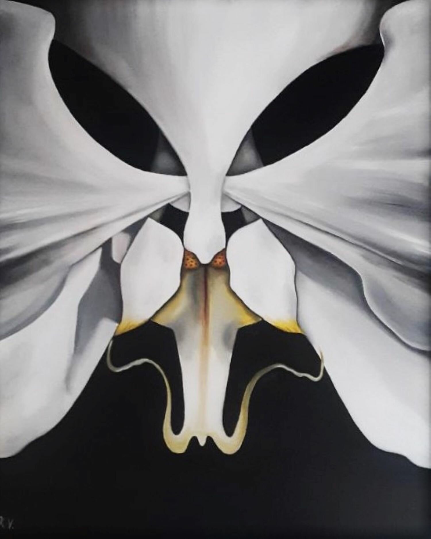 The White Orchid
