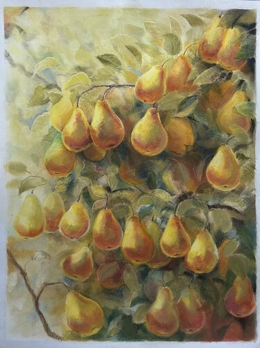 Lots of pears by Kateryna Husieva, Drawing for Sale on Select