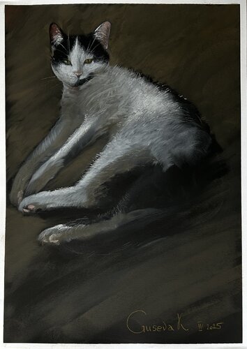Domestic cat by Kateryna Husieva, Drawing for Sale on Select