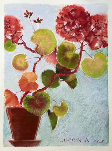 Geranium by Kateryna Husieva, Drawing for Sale on Select