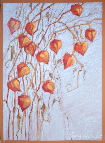 Physalis by Kateryna Husieva, Drawing for Sale on Select