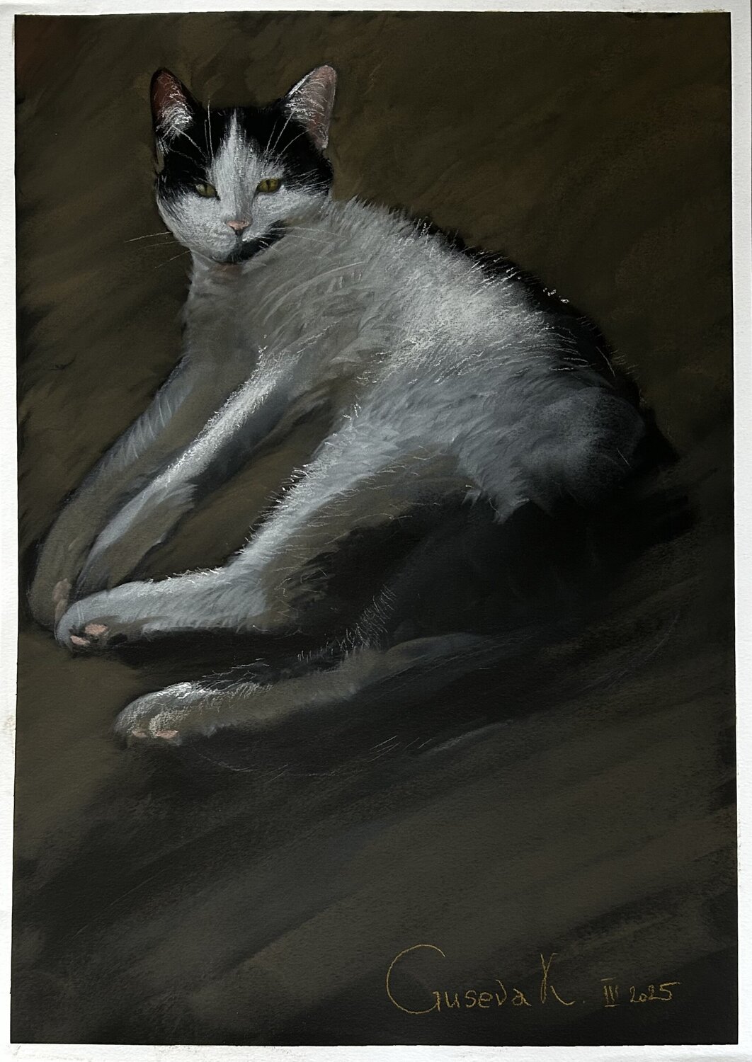 Domestic cat Kateryna Husieva Drawing for sale