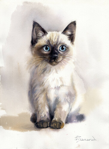 Cat with blue eyes by Alla Prisacar, Painting for Sale on Select
