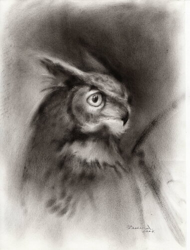 The Night's Vigil. Graphic owl. by Alla Prisacar, Drawing for Sale on Select