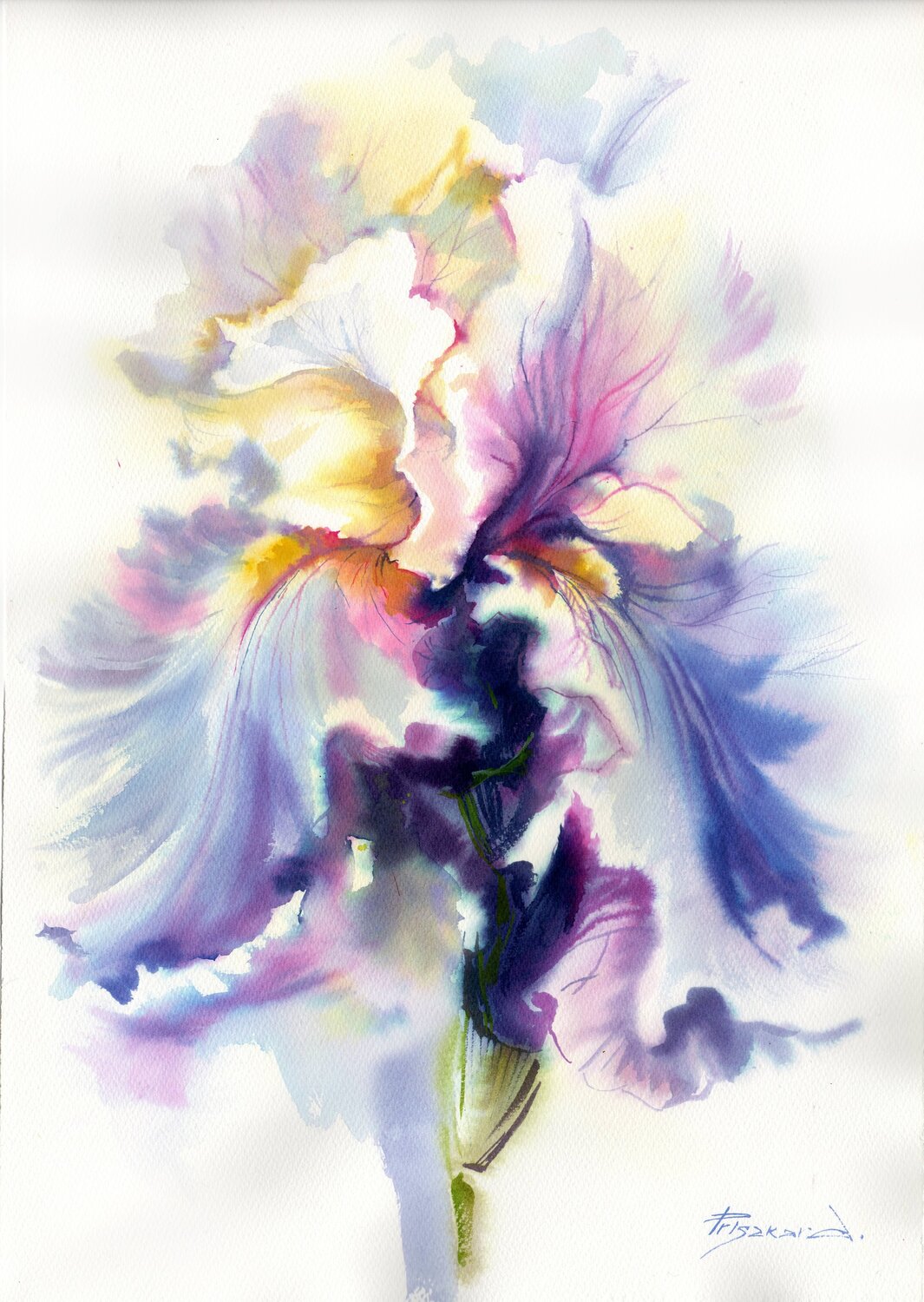 Transparent iris flower Alla Prisacar Original painting for sale