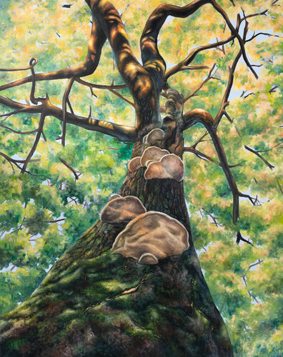 Beneath the Canopy — A Moment in the Forest by Stephanie Künzli Ycaza, Painting for Sale on Select
