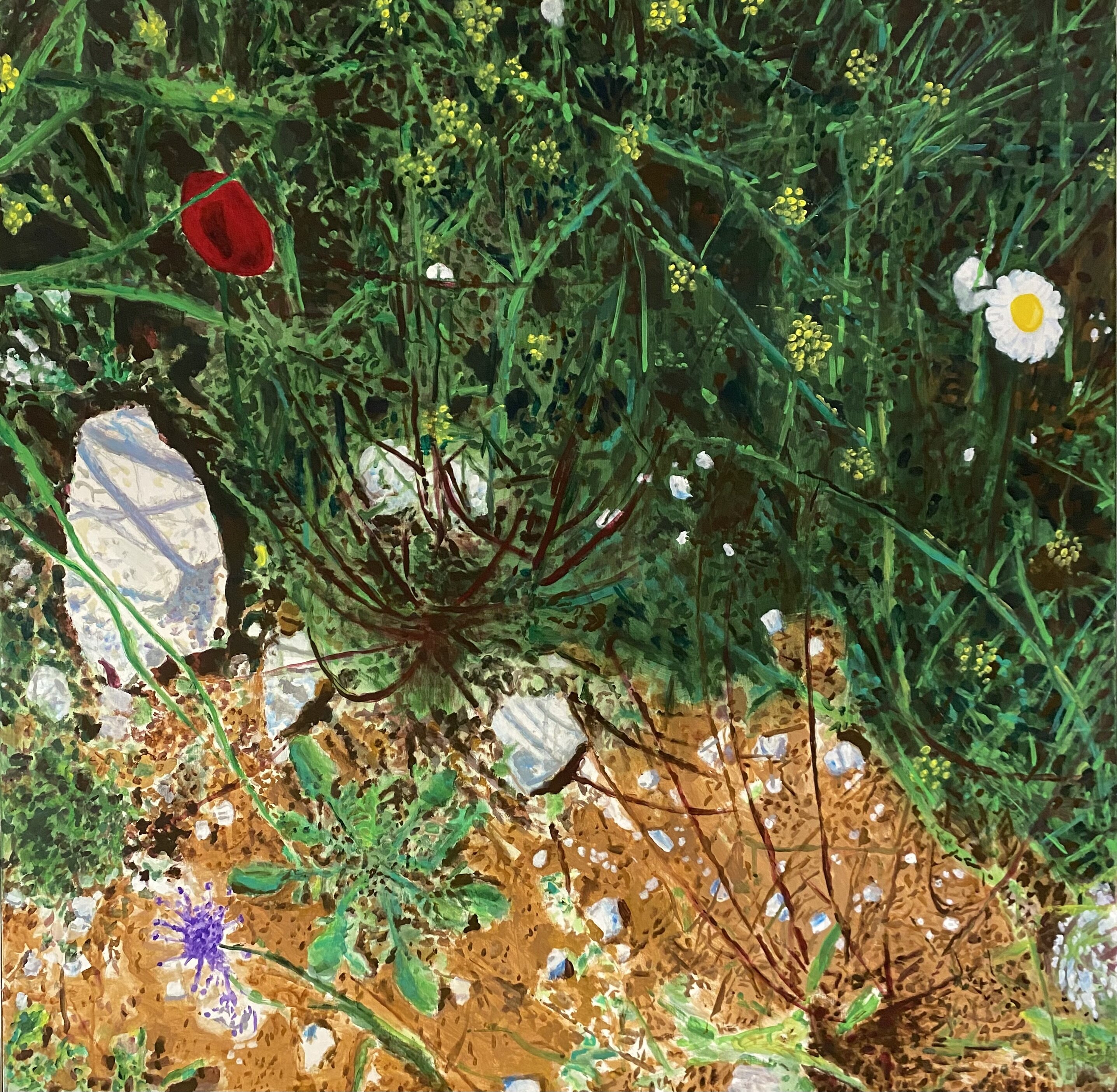 Au bord du sentier