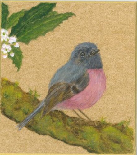 Pink Robin on Gold von Arlo Mercia, Malerei kaufen auf Select