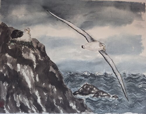Shy Albatross Pair, The Mewstone, Tasmania von Arlo Mercia, Malerei kaufen auf Select