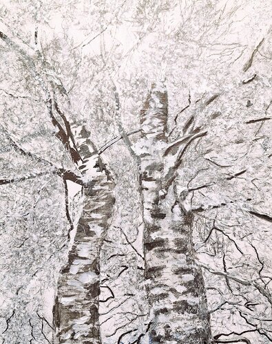 Birken im Winter by Bernd Stephanny, Painting for Sale on Select
