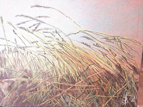Ähren im Wind by Bernd Stephanny, Drawing for Sale on Select