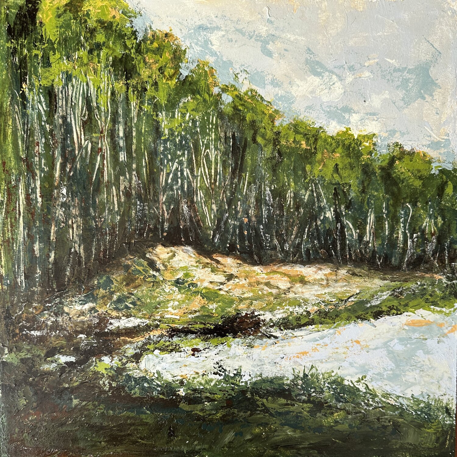 Summer Birch Grove Iryna Bondar Original painting for sale