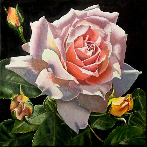 Rose in the dark by Karina Kopteva, Painting for Sale on Select