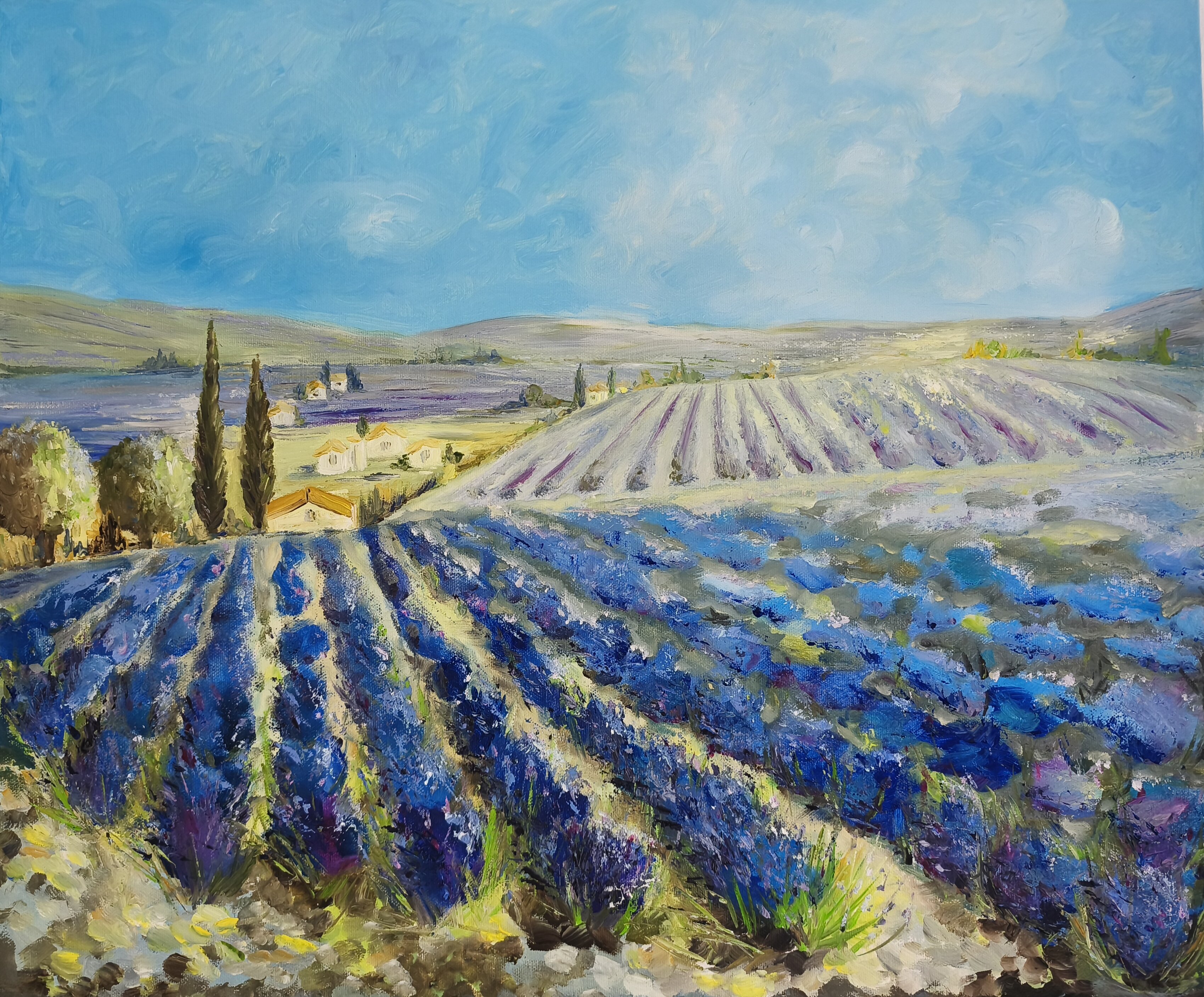 Under the Provence Sun