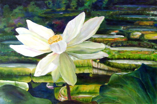 Dragonfly no.3 by Dagmar Wankowski, Painting for Sale on Select