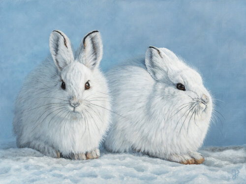 Schneegefährten von Isabeau Schmikowski, Malerei kaufen auf Select