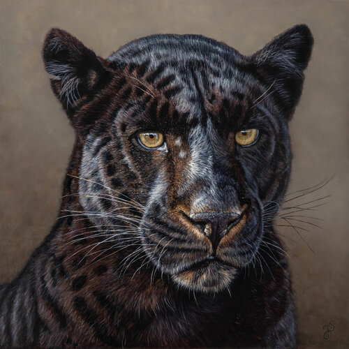 Schwarzer Panther von Isabeau Schmikowski, Malerei kaufen auf Select