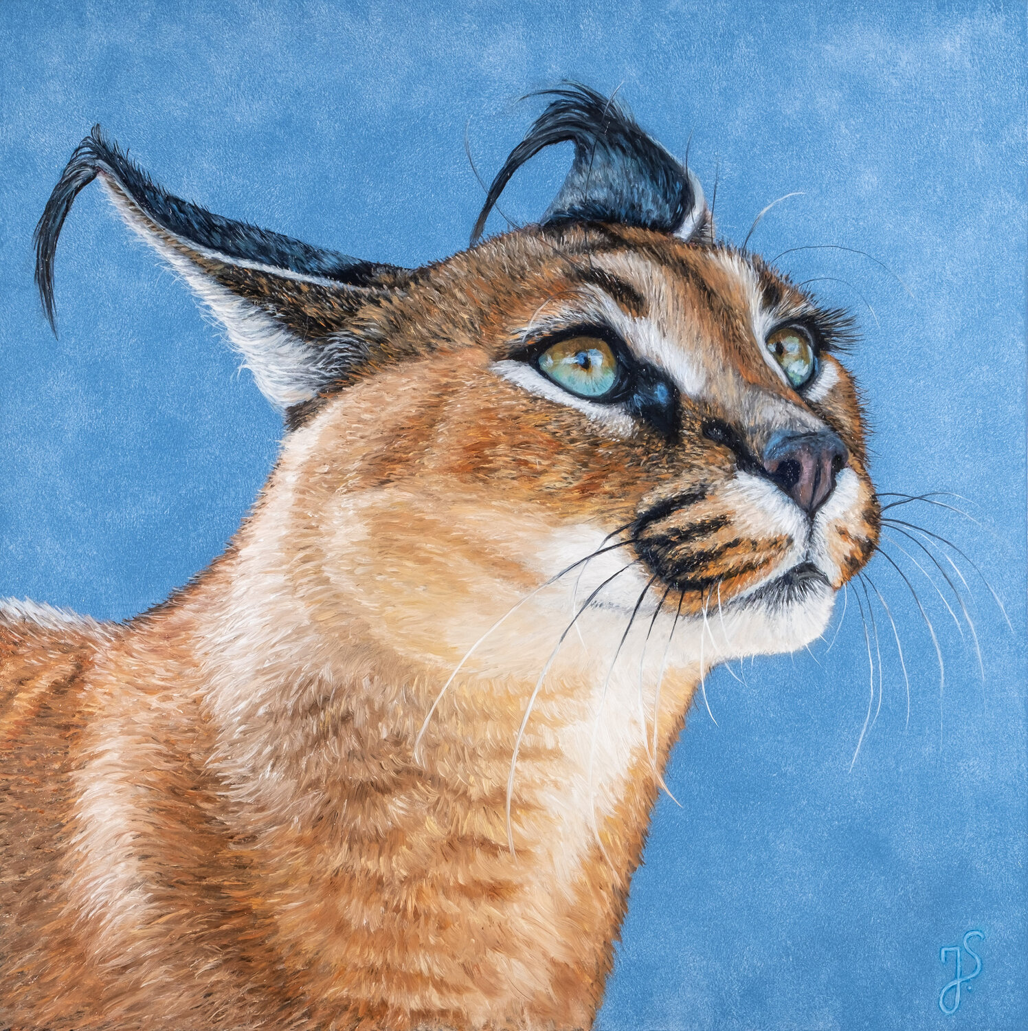 Karakal Isabeau Schmikowski Original painting for sale