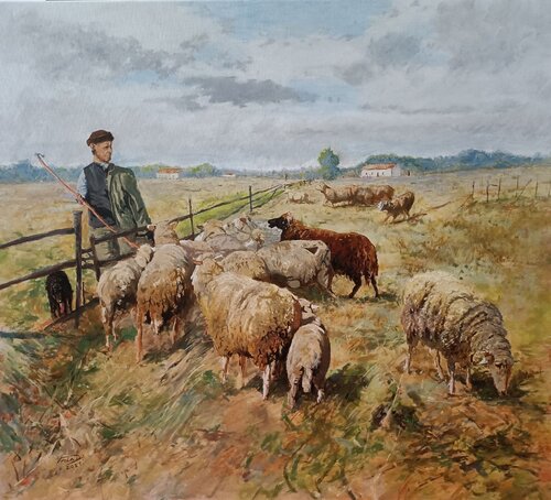Sheep on the plain by Dávid Prokaj, Painting for Sale on Select