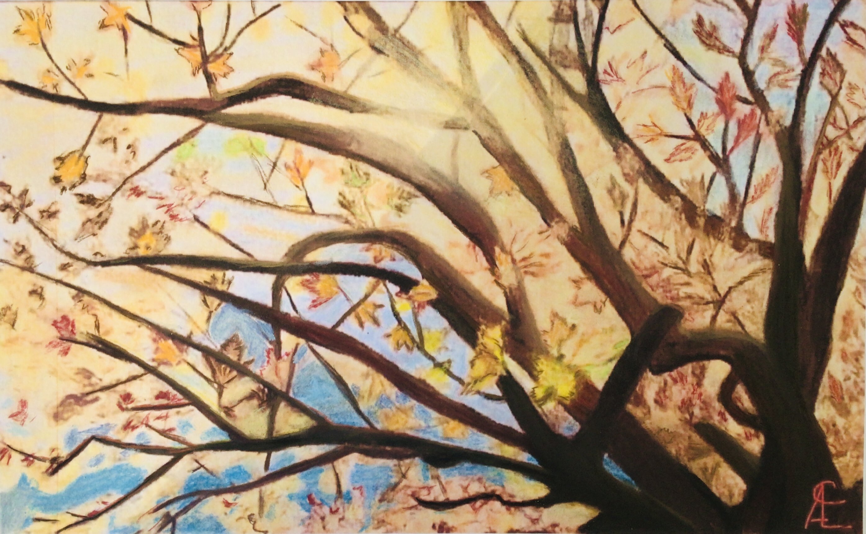 Herbstlicht II