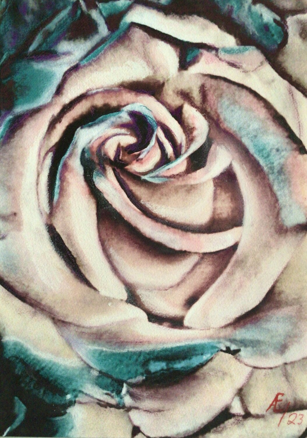 The Beauty