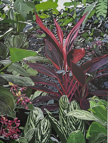 Cordyline Fruticosa by Richard Higham, Painting for Sale on Select